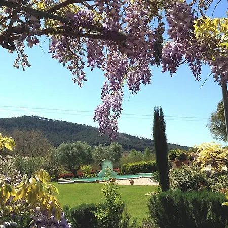 Bastide de Fontvieille-2