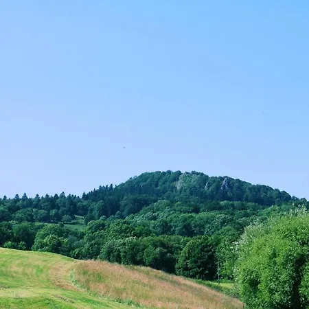 Hotel Garni Milseburg-2