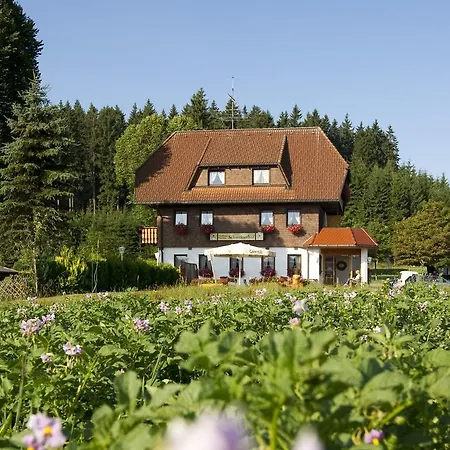 Gasthaus Schweizerhof-2