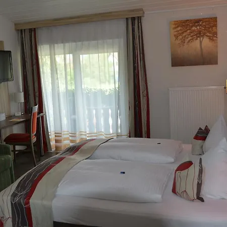 Alpina Hotel-3