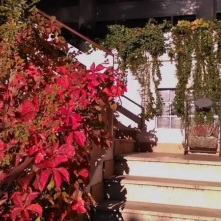 Hotel Ristorante Sole-2