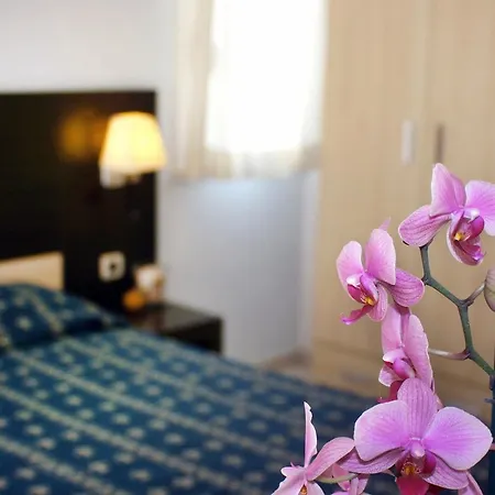 Hotel Europa Park-2