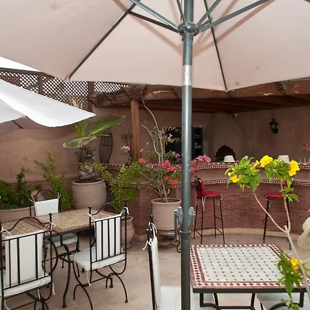 Riad Kechmara-3