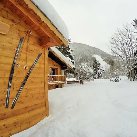 Chalet Alpina Hotel & Apartments-3