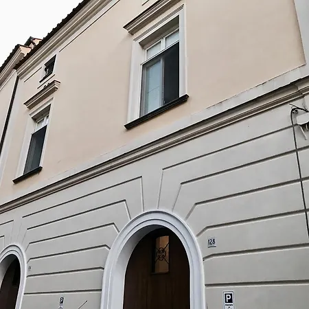 Olympus Capua-2