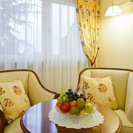 Hotel Aster-2