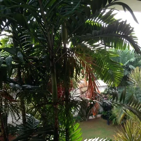 Silvikris Villa-3