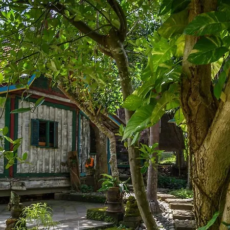 Taman Nauli Boutique Rooms-3