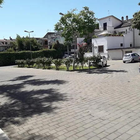 Hotel Jolly-3
