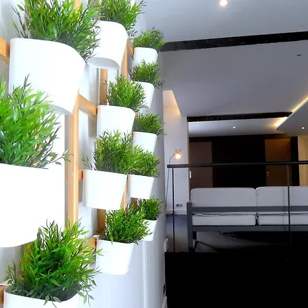 Loft Luxe Hyper Centre: Terrasse/Piscine/ Salle De Sport-3