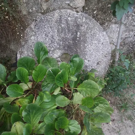 Estrebuela House-3