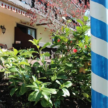 Birkenhof Pension Mit Herz-2
