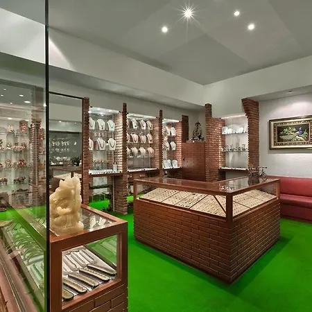 Park Regis Jaipur-2