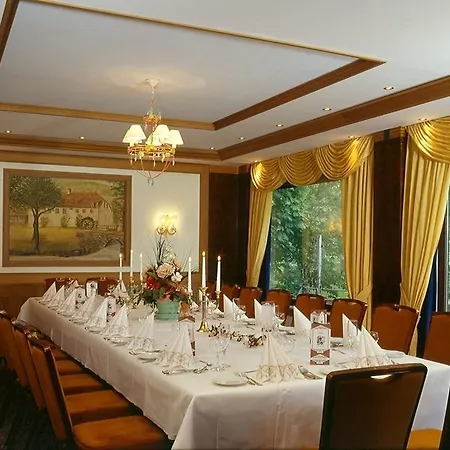 Hotel Zur Mühle-3