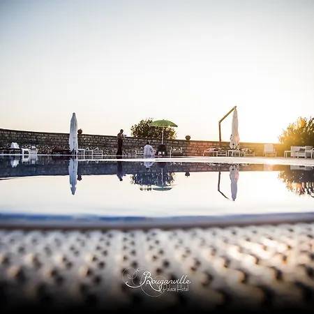 Bouganville Palace Hotel-2