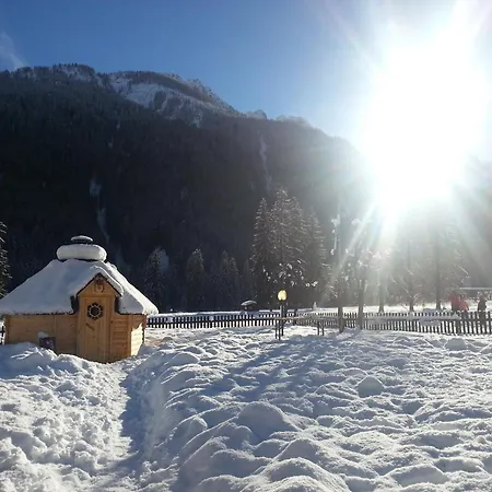 Hotel Stella Alpina-3