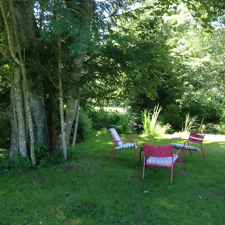 Hotel am Bach-3