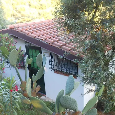 La Maison Galu'-3
