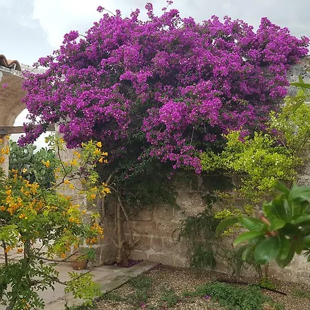Masseria Palombara Grande-2