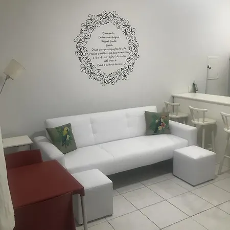 Amarilis Flat Service-2