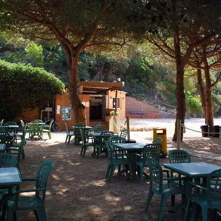 Pola Camping-3
