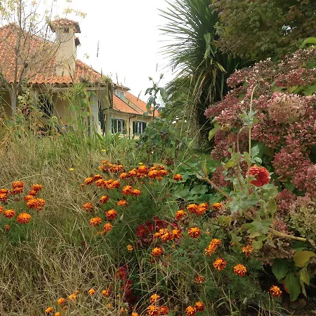 Casa Vale De Azibo-2