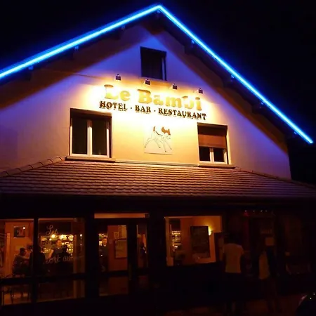 Hôtel Le Bambi-2