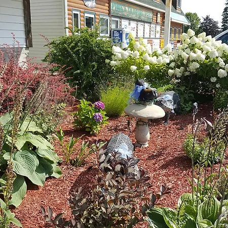 Bear Cove Inn-2
