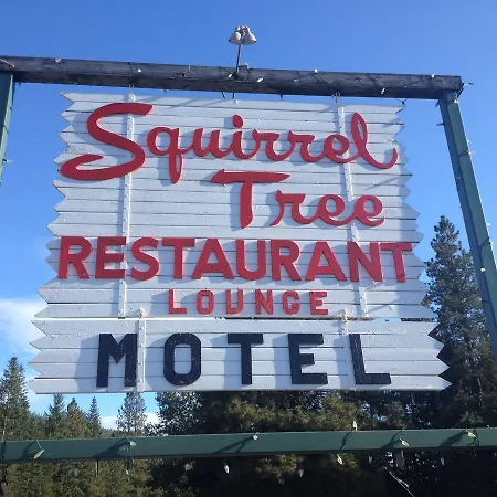 Squirrel Tree Resort-3