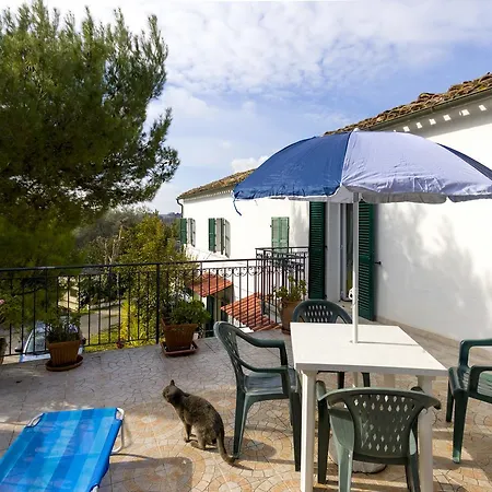 Camere Alisa-3