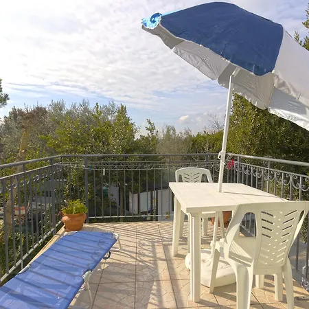 Camere Alisa-2
