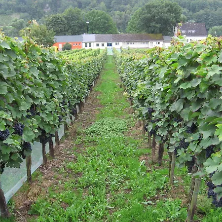 Weingut Day-2