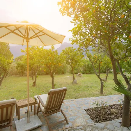 Finca Can Coll Boutique Country House - Adults Only-3