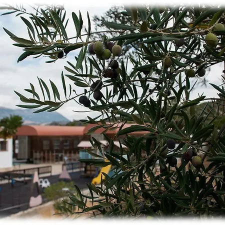 Hotel - Restaurante Estación Vía Verde-2