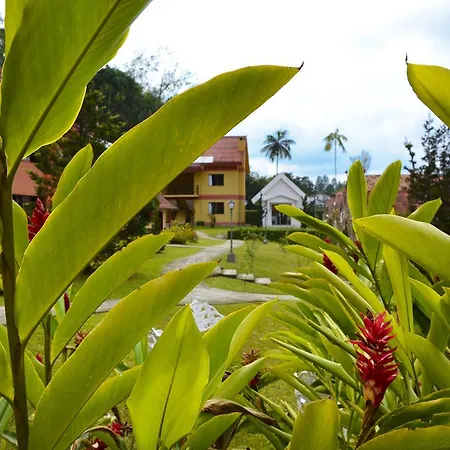 Hotel Girassol-2