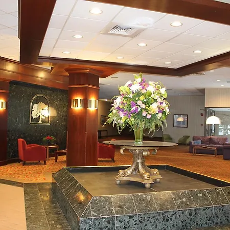 The Avalon Hotel-3