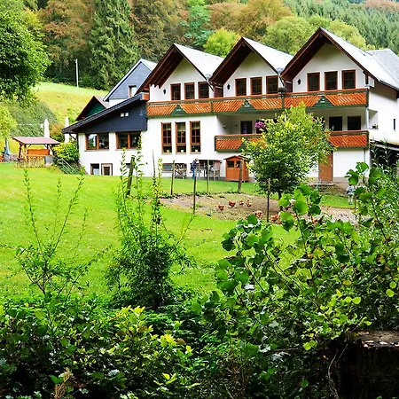 Baunhöller-Mühle-3