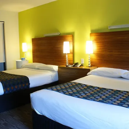 Cambridge Hotel Sydney-3