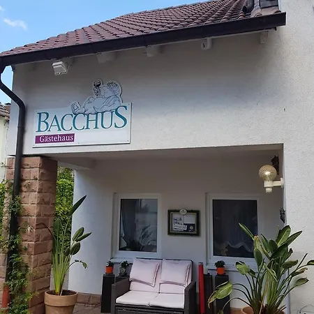 Gästehaus Bacchus-3