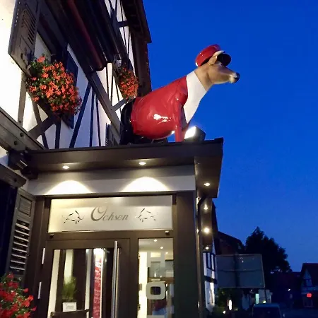 Hotel Ochsen-3