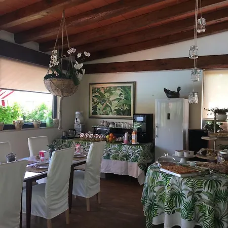 B&B Il Portico-2