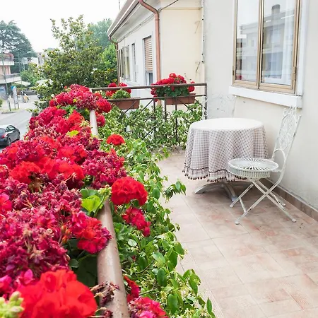 B&B Pereuka-3