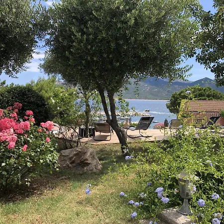 Stella Marina-2