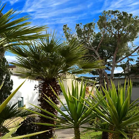 B&B Villa Garden-2