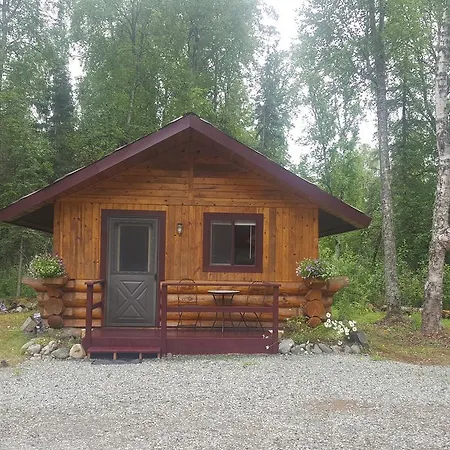 Talkeetna Fireweed Cabins-2