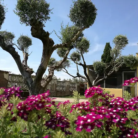B&B Casa degli Ulivi-2