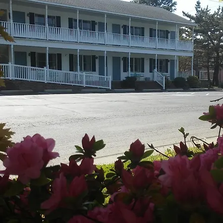 Sea Shell Motel-3