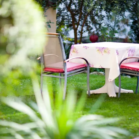 Hotel Aster-3