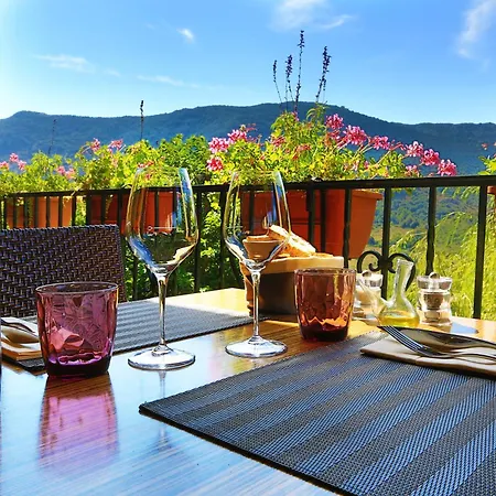 Logis auberge restaurant Du Vigneron-2