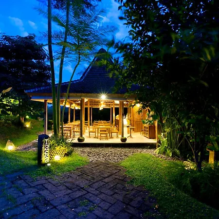 Kalapa Boutique Resort & Yoga-3